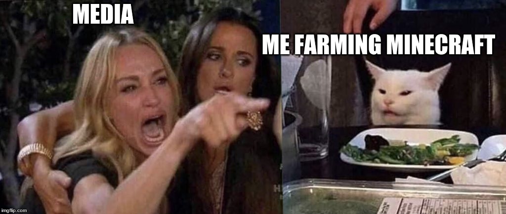 woman yelling at cat | MEDIA; ME FARMING MINECRAFT | image tagged in woman yelling at cat | made w/ Imgflip meme maker