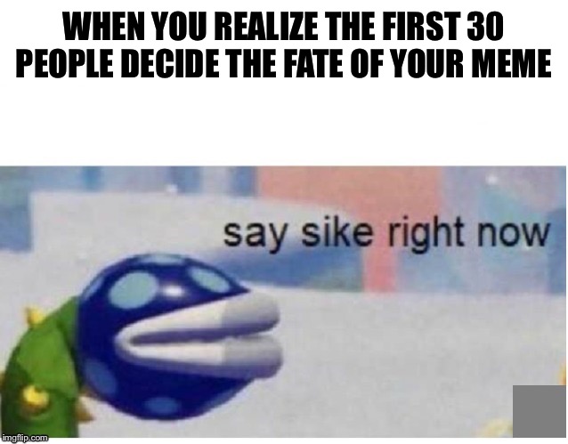 say sike right now | WHEN YOU REALIZE THE FIRST 30 PEOPLE DECIDE THE FATE OF YOUR MEME | image tagged in say sike right now | made w/ Imgflip meme maker
