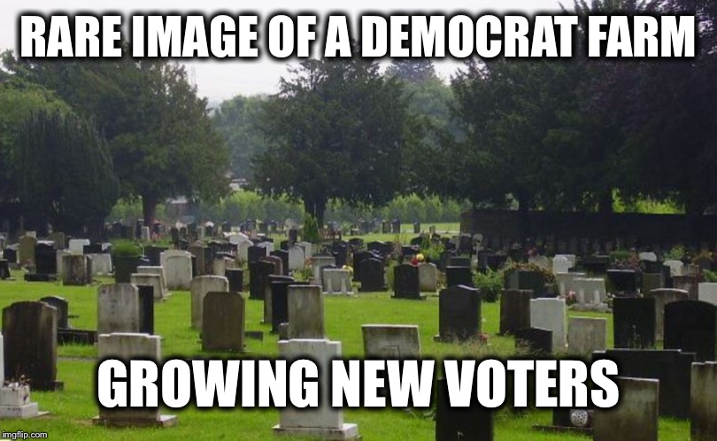 Graveyard | RARE IMAGE OF A DEMOCRAT FARM; GROWING NEW VOTERS | image tagged in graveyard,political meme,politics,democratic party | made w/ Imgflip meme maker