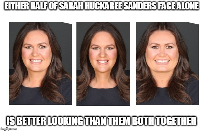 It's a tale of two faces. | EITHER HALF OF SARAH HUCKABEE SANDERS FACE ALONE; IS BETTER LOOKING THAN THEM BOTH TOGETHER | image tagged in sarah huckabee sanders | made w/ Imgflip meme maker