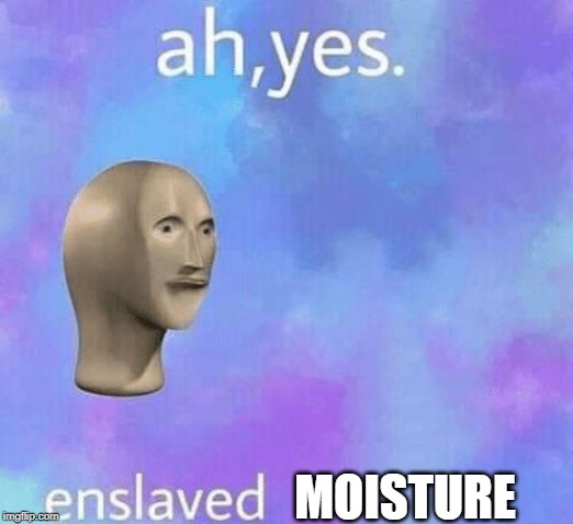 Ah Yes enslaved | MOISTURE | image tagged in ah yes enslaved | made w/ Imgflip meme maker