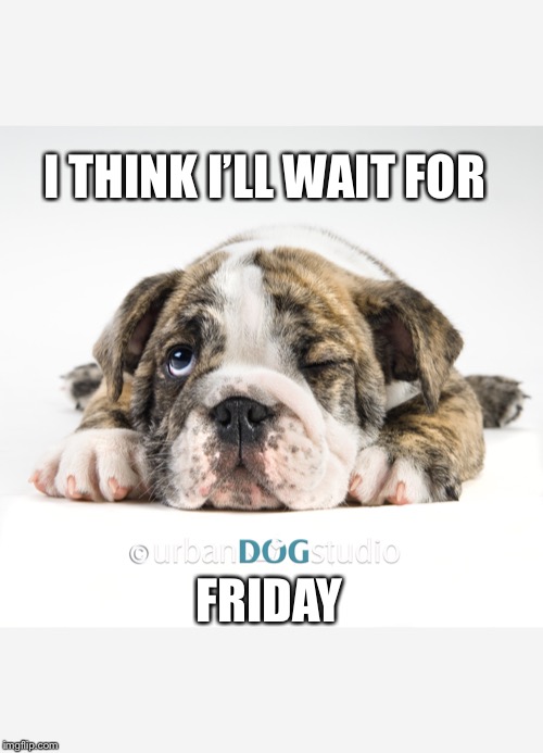 Fridays | I THINK I’LL WAIT FOR; FRIDAY | image tagged in funny | made w/ Imgflip meme maker