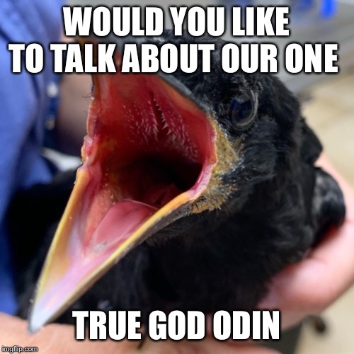 One true god | WOULD YOU LIKE TO TALK ABOUT OUR ONE; TRUE GOD ODIN | image tagged in funny animals | made w/ Imgflip meme maker
