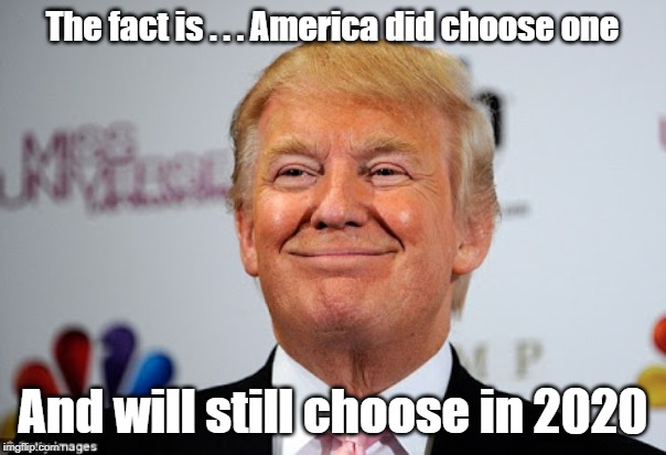 The chosen one ? | The fact is . . . America did choose one; And will still choose in 2020 | image tagged in donald trump approves,election 2020 | made w/ Imgflip meme maker