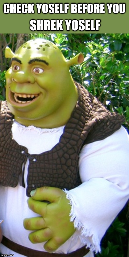 shrek yoself | SHREK YOSELF; CHECK YOSELF BEFORE YOU | image tagged in shrek yoself | made w/ Imgflip meme maker