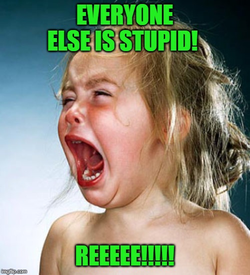 Baby Girl Crying  | EVERYONE ELSE IS STUPID! REEEEE!!!!! | image tagged in baby girl crying | made w/ Imgflip meme maker