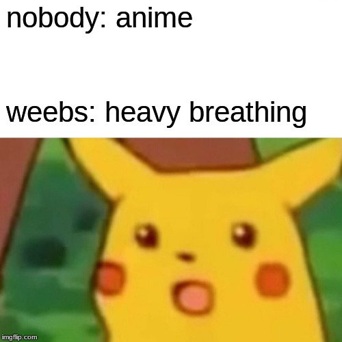 Surprised Pikachu Meme | nobody: anime; weebs: heavy breathing | image tagged in memes,surprised pikachu | made w/ Imgflip meme maker