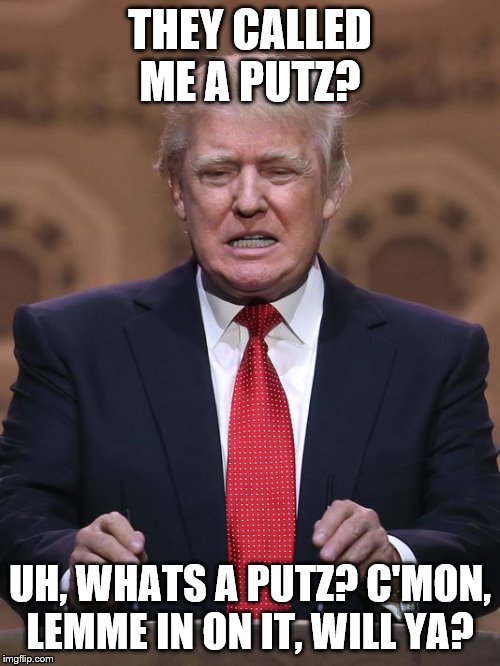 Donald Trump | THEY CALLED ME A PUTZ? UH, WHATS A PUTZ? C'MON, LEMME IN ON IT, WILL YA? | image tagged in donald trump | made w/ Imgflip meme maker