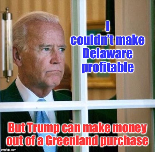 Joe’s hosed in 2020 | I couldn’t make Delaware profitable; But Trump can make money out of a Greenland purchase | image tagged in sad joe biden,greenland purchase,trump,joe biden,delaware,profit | made w/ Imgflip meme maker