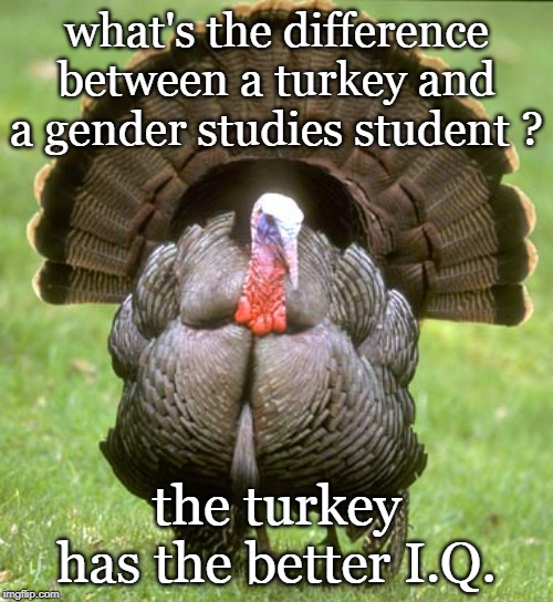 2 + 2 = 4 at least in this galaxy. | what's the difference between a turkey and a gender studies student ? the turkey has the better I.Q. | image tagged in memes,turkey,insane liberals,goofy stupid liberal college student | made w/ Imgflip meme maker