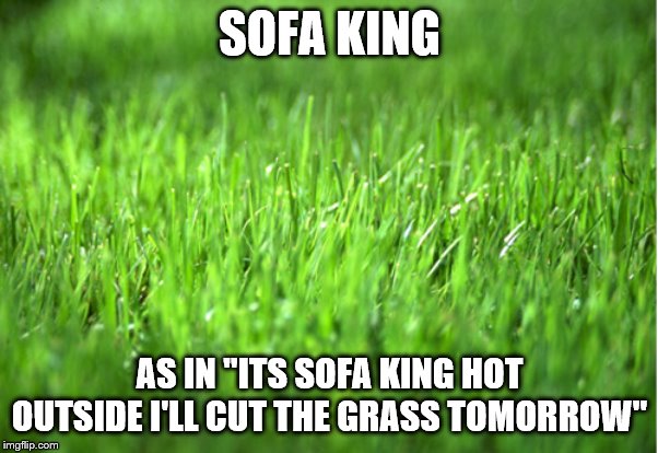 grass is greener | SOFA KING; AS IN "ITS SOFA KING HOT OUTSIDE I'LL CUT THE GRASS TOMORROW" | image tagged in grass is greener | made w/ Imgflip meme maker