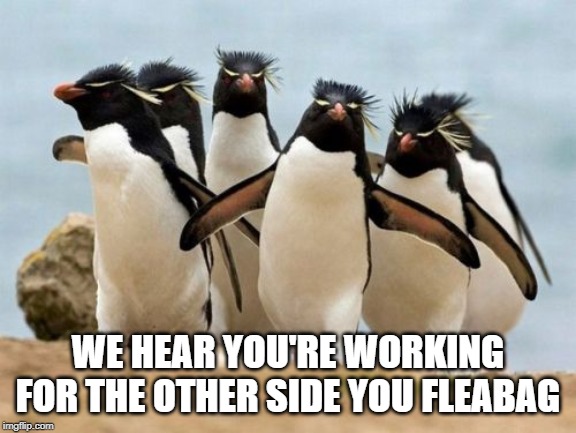 Penguin Gang Meme | WE HEAR YOU'RE WORKING FOR THE OTHER SIDE YOU FLEABAG | image tagged in memes,penguin gang | made w/ Imgflip meme maker