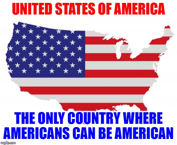 American Is As American Does | UNITED STATES OF AMERICA; THE ONLY COUNTRY WHERE AMERICANS CAN BE AMERICAN | image tagged in scumbag america,americans,so true memes,united states of america,lol so funny,usa | made w/ Imgflip meme maker