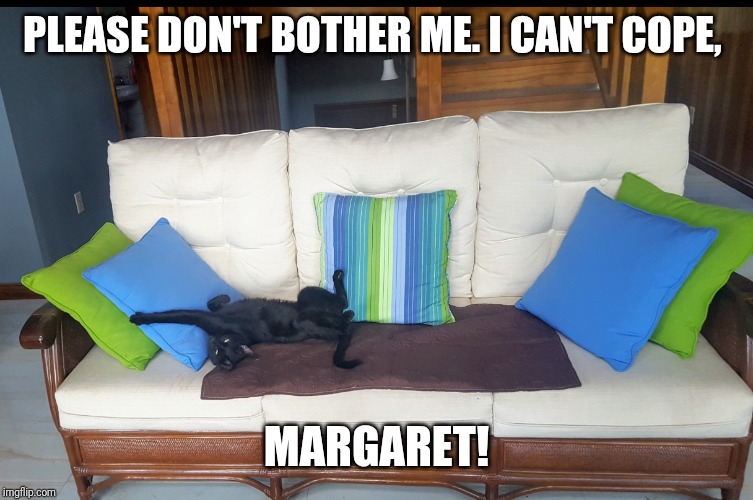 The Inimitable Jinx | PLEASE DON'T BOTHER ME. I CAN'T COPE, MARGARET! | image tagged in the inimitable jinx | made w/ Imgflip meme maker