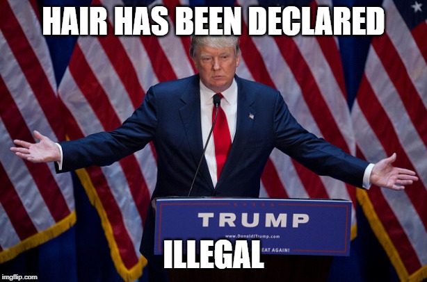 Donald Trump | HAIR HAS BEEN DECLARED; ILLEGAL | image tagged in donald trump | made w/ Imgflip meme maker
