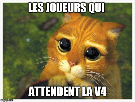 Shrek Cat Meme | LES JOUEURS QUI; ATTENDENT LA V4 | image tagged in memes,shrek cat | made w/ Imgflip meme maker