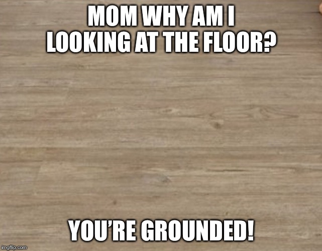 I got pun ished | MOM WHY AM I LOOKING AT THE FLOOR? YOU’RE GROUNDED! | image tagged in puns,bad pun,bad joke | made w/ Imgflip meme maker