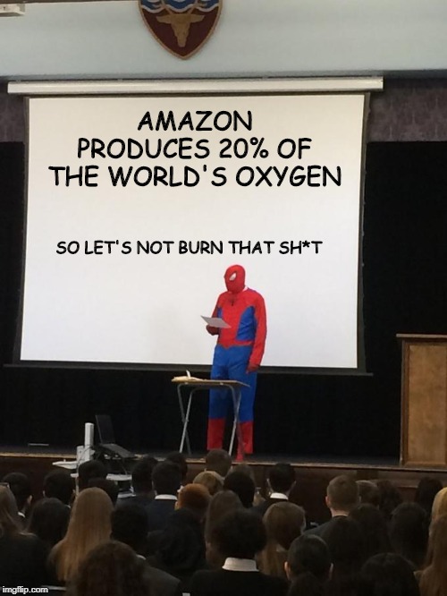 Spiderman Presentation | AMAZON PRODUCES 20% OF THE WORLD'S OXYGEN; SO LET'S NOT BURN THAT SH*T | image tagged in spiderman presentation | made w/ Imgflip meme maker