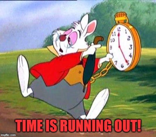 White Rabbit "I'm late!" | TIME IS RUNNING OUT! | image tagged in white rabbit i'm late | made w/ Imgflip meme maker