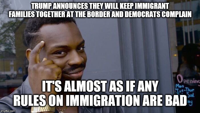 Roll Safe Think About It Meme | TRUMP ANNOUNCES THEY WILL KEEP IMMIGRANT FAMILIES TOGETHER AT THE BORDER AND DEMOCRATS COMPLAIN; IT'S ALMOST AS IF ANY RULES ON IMMIGRATION ARE BAD | image tagged in memes,roll safe think about it | made w/ Imgflip meme maker