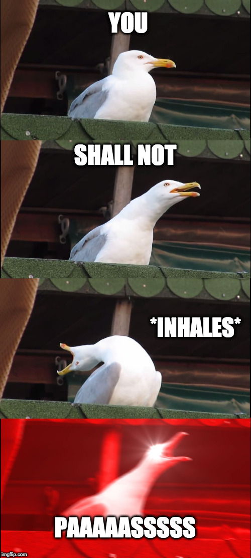 Inhaling Seagull | YOU; SHALL NOT; *INHALES*; PAAAAASSSSS | image tagged in memes,inhaling seagull | made w/ Imgflip meme maker