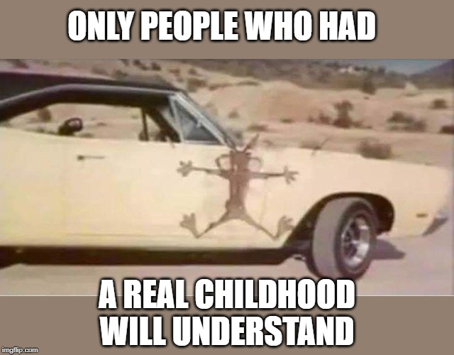 ONLY PEOPLE WHO HAD; A REAL CHILDHOOD WILL UNDERSTAND | image tagged in willey coyote | made w/ Imgflip meme maker