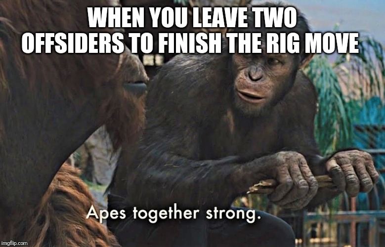 Apes Together Strong | WHEN YOU LEAVE TWO OFFSIDERS TO FINISH THE RIG MOVE | image tagged in apes together strong | made w/ Imgflip meme maker