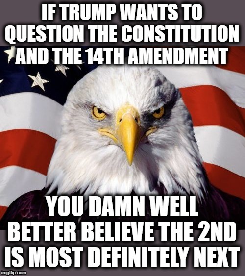 In fact why wait? They already started attacking the 14th | image tagged in memes,politics,impeach trump,maga,constitution | made w/ Imgflip meme maker