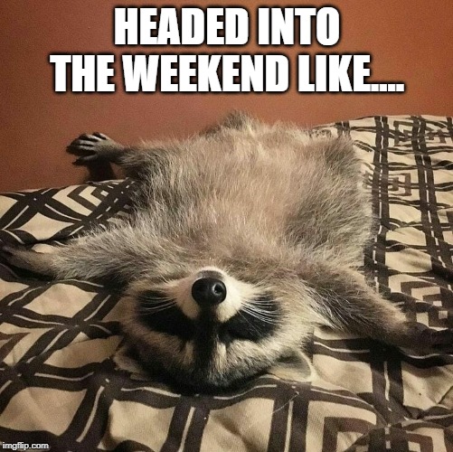 Restful Raccoon | HEADED INTO THE WEEKEND LIKE.... | image tagged in restful raccoon | made w/ Imgflip meme maker