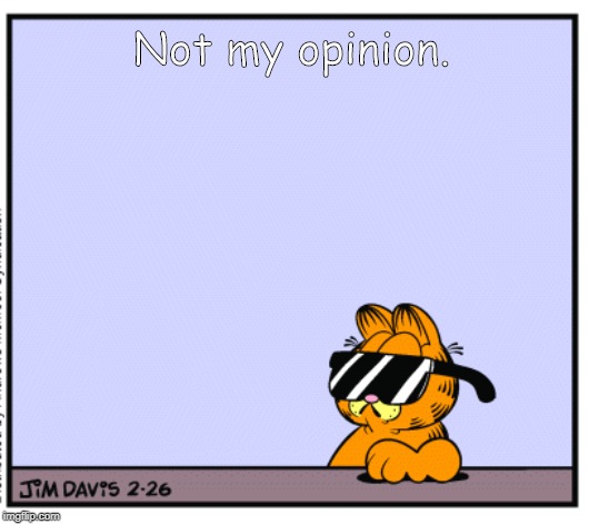 Not Garfield's Opinion | Not my opinion. | image tagged in garfield deal with it | made w/ Imgflip meme maker