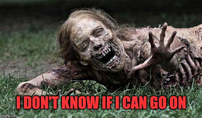 Walking Dead Zombie | I DON'T KNOW IF I CAN GO ON | image tagged in walking dead zombie | made w/ Imgflip meme maker