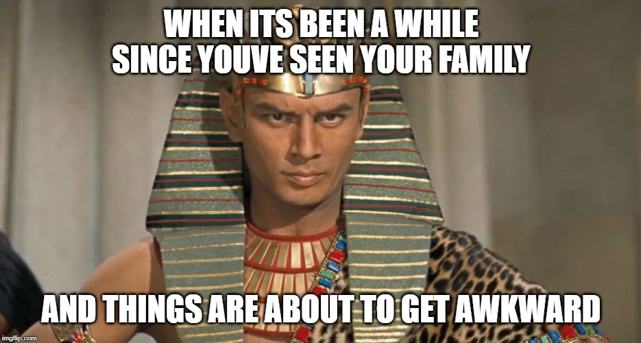 pharoah | WHEN ITS BEEN A WHILE SINCE YOUVE SEEN YOUR FAMILY; AND THINGS ARE ABOUT TO GET AWKWARD | image tagged in pharoah | made w/ Imgflip meme maker