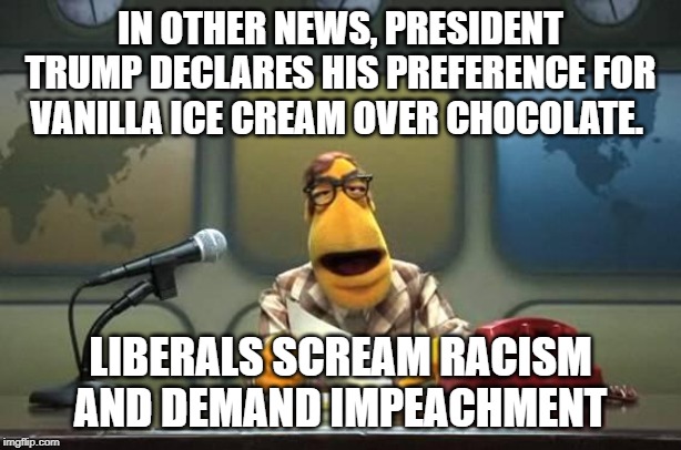 Muppet Reporter | IN OTHER NEWS, PRESIDENT TRUMP DECLARES HIS PREFERENCE FOR VANILLA ICE CREAM OVER CHOCOLATE. LIBERALS SCREAM RACISM AND DEMAND IMPEACHMENT | image tagged in muppet reporter | made w/ Imgflip meme maker