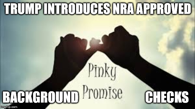 pinky swear | TRUMP INTRODUCES NRA APPROVED; BACKGROUND                           CHECKS | image tagged in pinky swear | made w/ Imgflip meme maker