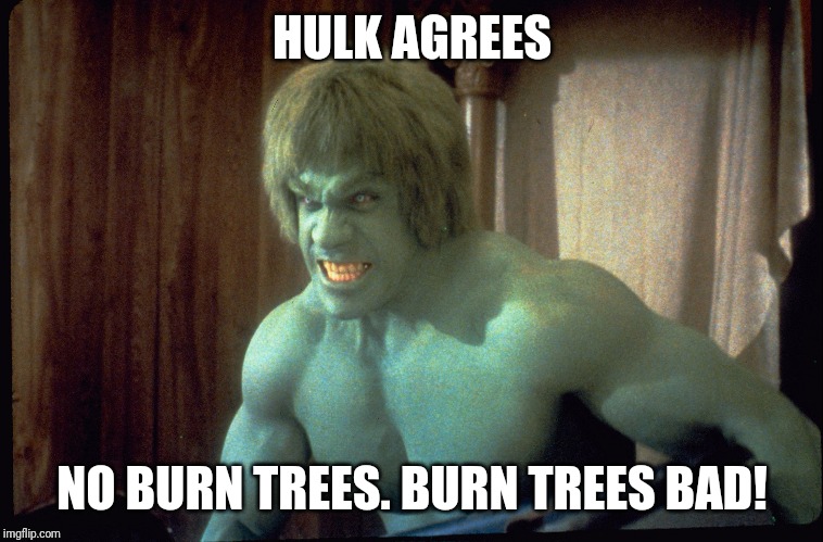 The Incredible Hulk  | HULK AGREES NO BURN TREES. BURN TREES BAD! | image tagged in the incredible hulk | made w/ Imgflip meme maker