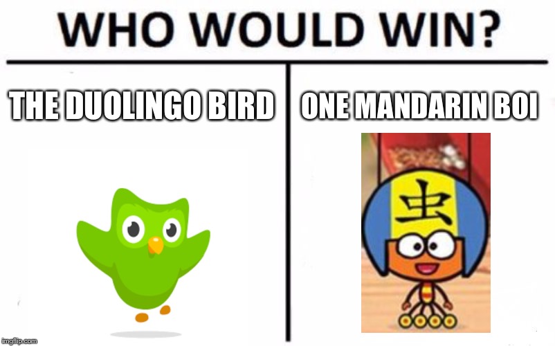 Who Would Win? Meme | THE DUOLINGO BIRD; ONE MANDARIN BOI | image tagged in memes,who would win | made w/ Imgflip meme maker