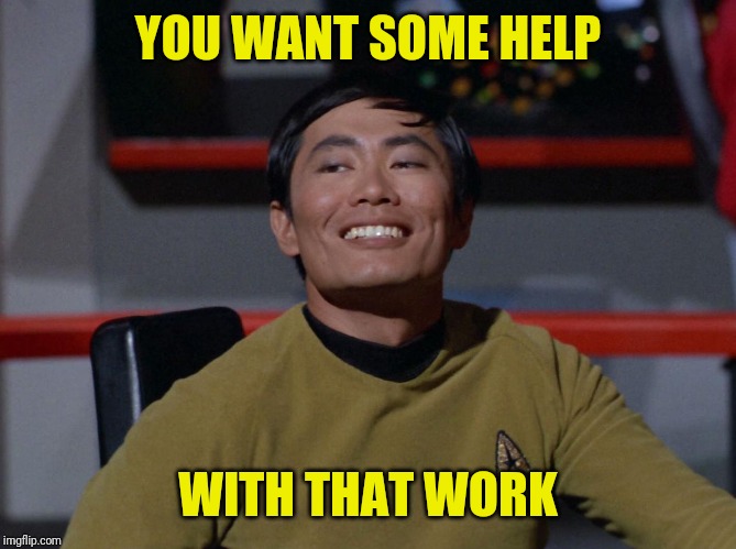 Sulu smug | YOU WANT SOME HELP WITH THAT WORK | image tagged in sulu smug | made w/ Imgflip meme maker