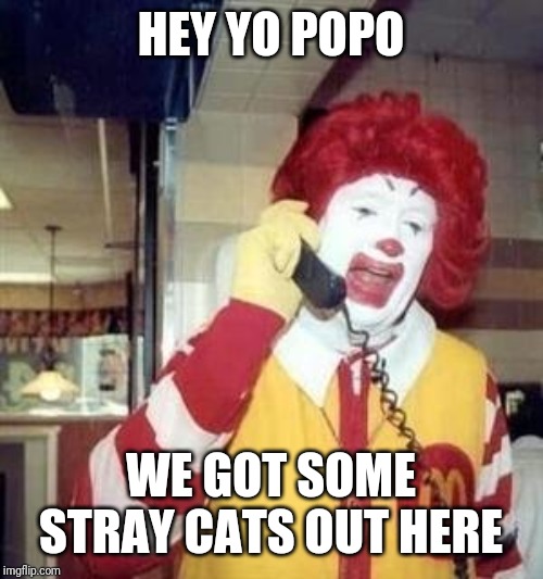 Ronald McDonald Temp | HEY YO POPO WE GOT SOME STRAY CATS OUT HERE | image tagged in ronald mcdonald temp | made w/ Imgflip meme maker
