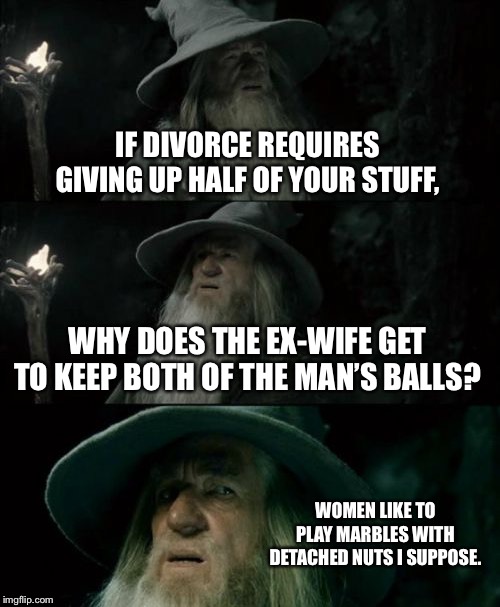 Does not sound like an even split | IF DIVORCE REQUIRES GIVING UP HALF OF YOUR STUFF, WHY DOES THE EX-WIFE GET TO KEEP BOTH OF THE MAN’S BALLS? WOMEN LIKE TO PLAY MARBLES WITH DETACHED NUTS I SUPPOSE. | image tagged in memes,confused gandalf,married,men and women,balls,nuts | made w/ Imgflip meme maker