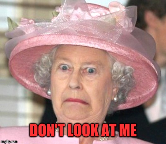 the Queen Elizabeth II | DON'T LOOK AT ME | image tagged in the queen elizabeth ii | made w/ Imgflip meme maker
