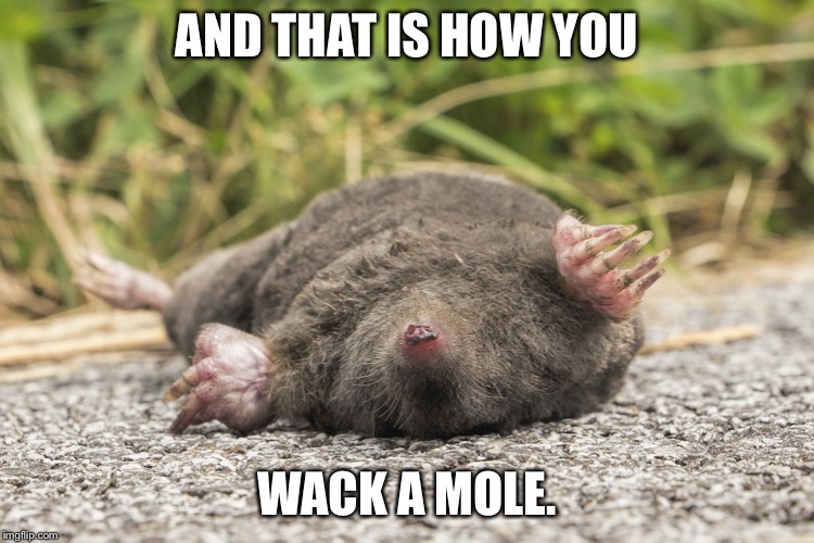 AND THAT IS HOW YOU; WACK A MOLE. | image tagged in memes,guacamole | made w/ Imgflip meme maker