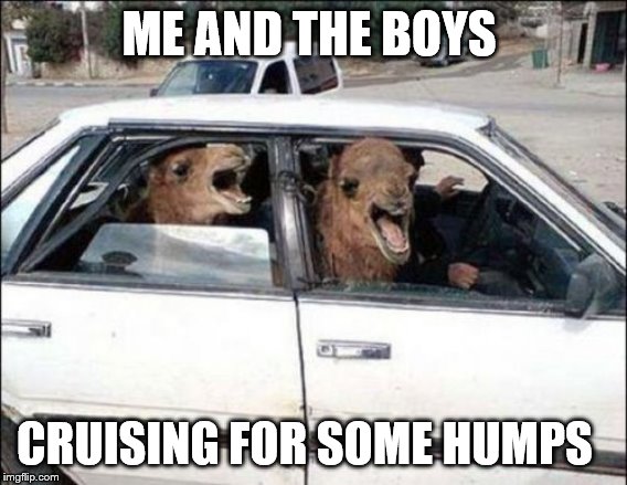 humpy humps | ME AND THE BOYS; CRUISING FOR SOME HUMPS | image tagged in memes,quit hatin,me and the boys week | made w/ Imgflip meme maker