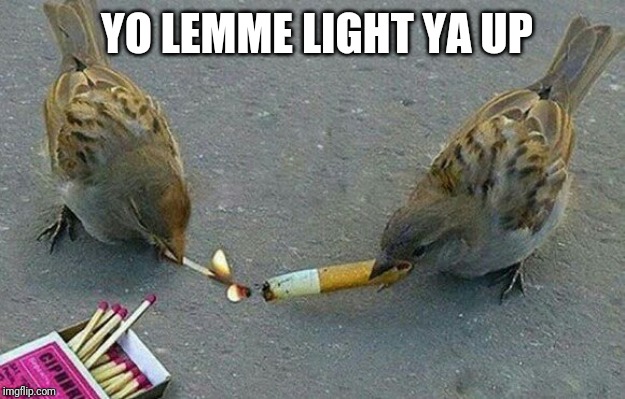 YO LEMME LIGHT YA UP | made w/ Imgflip meme maker