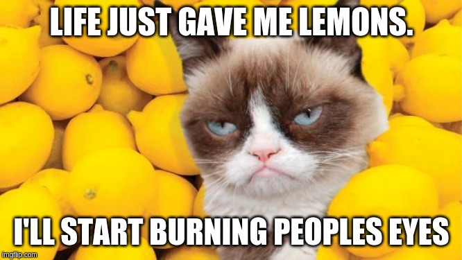 Grumpy Cat lemons | LIFE JUST GAVE ME LEMONS. I'LL START BURNING PEOPLES EYES | image tagged in grumpy cat lemons | made w/ Imgflip meme maker