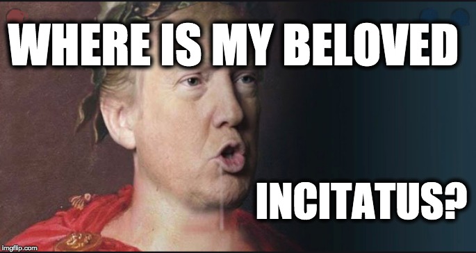 WHERE IS MY BELOVED; INCITATUS? | image tagged in trump,bestiality,gop,horses,perversion | made w/ Imgflip meme maker