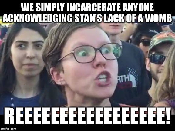 Angry sjw | WE SIMPLY INCARCERATE ANYONE ACKNOWLEDGING STAN’S LACK OF A WOMB; REEEEEEEEEEEEEEEEE! | image tagged in angry sjw | made w/ Imgflip meme maker