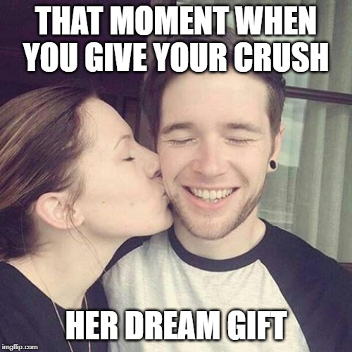 THAT MOMENT WHEN YOU GIVE YOUR CRUSH; HER DREAM GIFT | image tagged in dantdm | made w/ Imgflip meme maker