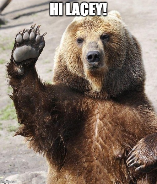 Hello bear | HI LACEY! | image tagged in hello bear | made w/ Imgflip meme maker
