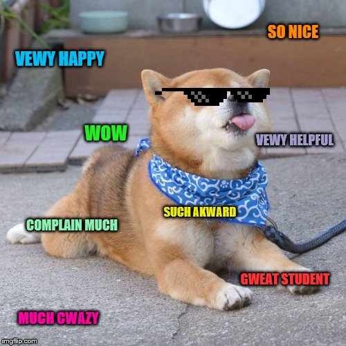 SO NICE; VEWY HAPPY; WOW; VEWY HELPFUL; SUCH AKWARD; COMPLAIN MUCH; GWEAT STUDENT; MUCH CWAZY | image tagged in shiba inu | made w/ Imgflip meme maker