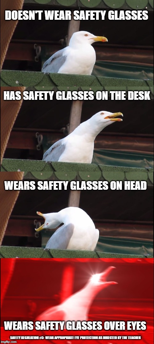 Inhaling Seagull Meme | DOESN'T WEAR SAFETY GLASSES; HAS SAFETY GLASSES ON THE DESK; WEARS SAFETY GLASSES ON HEAD; WEARS SAFETY GLASSES OVER EYES; SAFETY REGULATION #5- WEAR APPROPRIATE EYE PROTECTION AS DIRECTED BY THE TEACHER | image tagged in memes,inhaling seagull | made w/ Imgflip meme maker